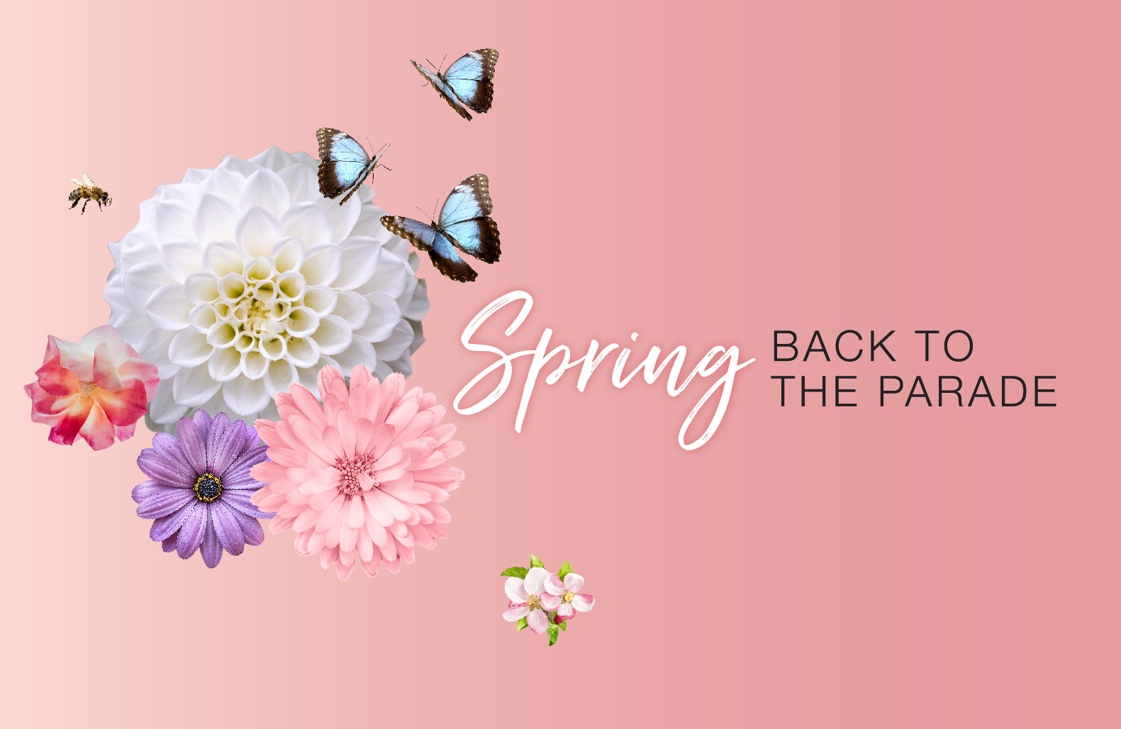 It's time to Spring Back to The Parade | Look East