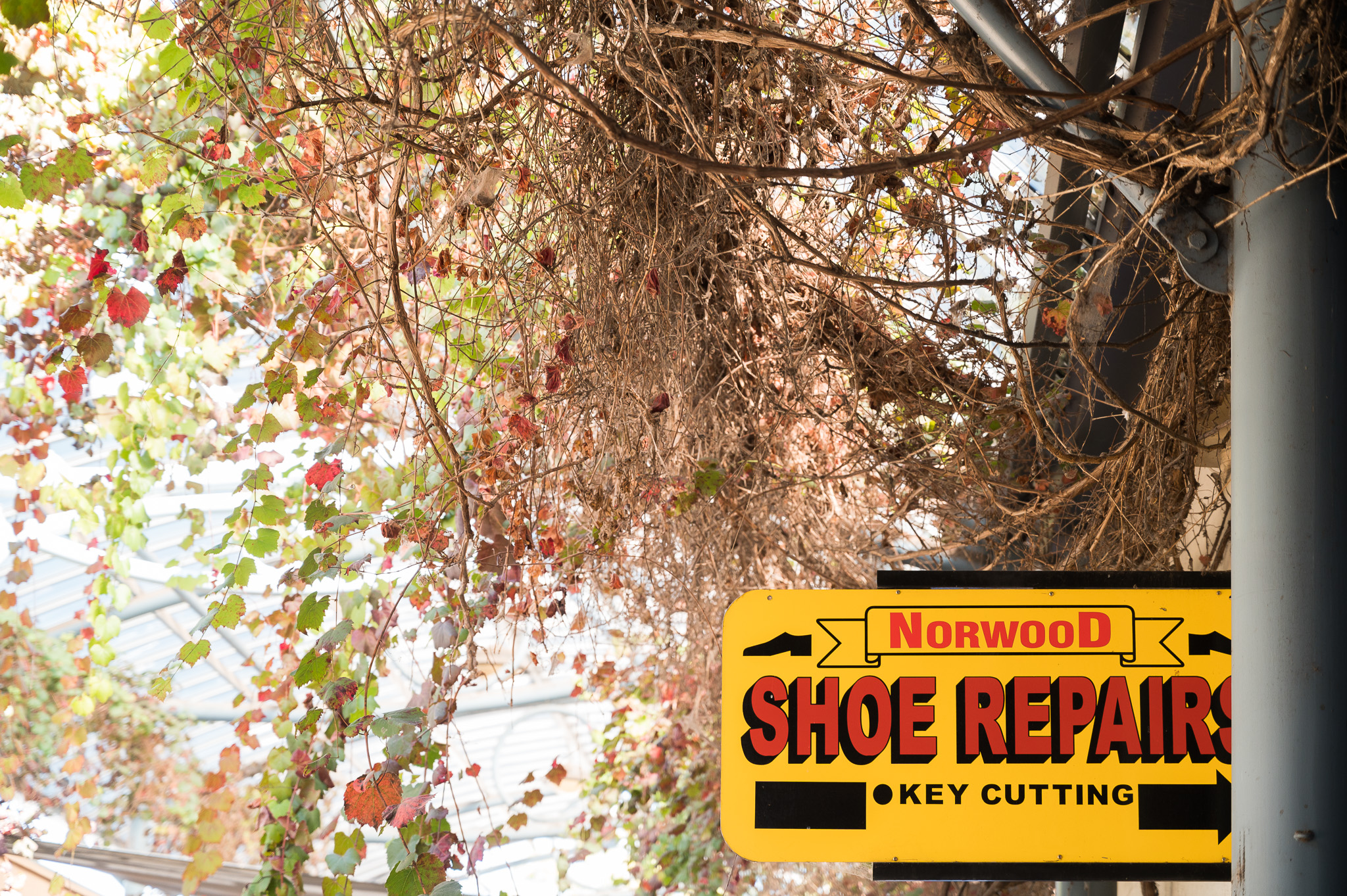 Norwood Shoe Repairs 03