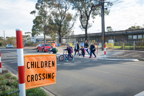 School Emu Crossing example