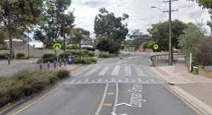 Example of a wombat crossing