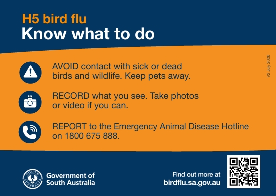 www.birdflu.sa.gov.au screenshot